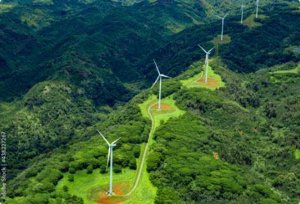 Aerial view of wind turbines in a forest