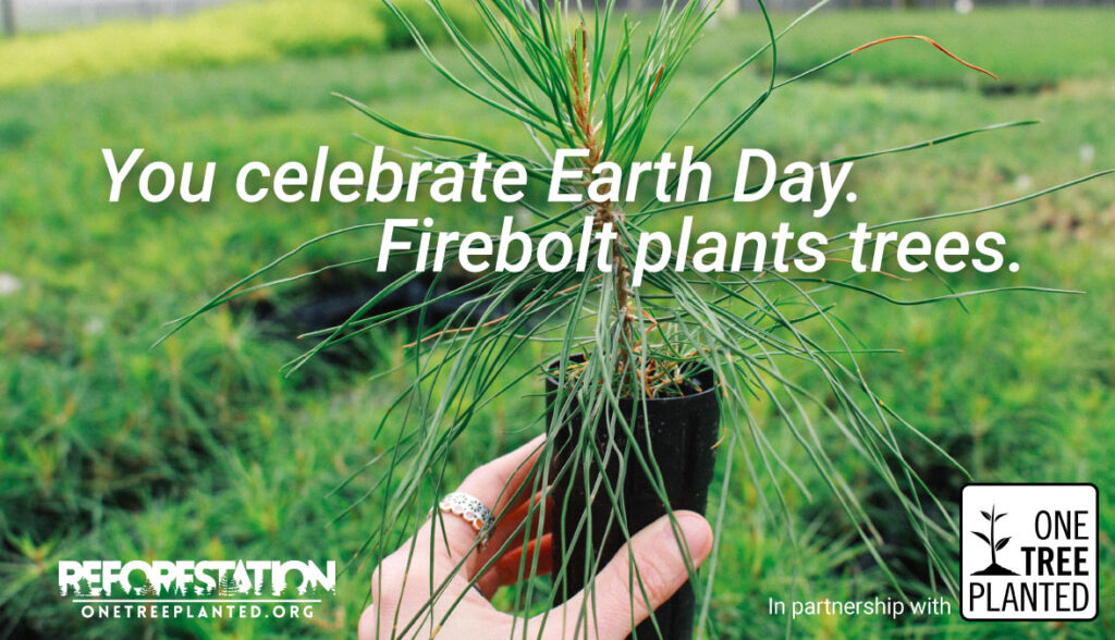 Person holding a newly planted tree