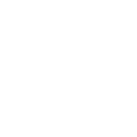 one tree planted